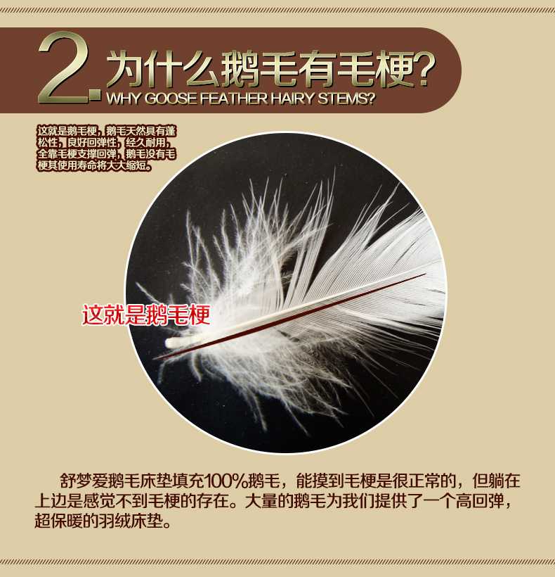 舒梦爱正品加厚白鹅毛羽绒床垫床褥 标准单层可折叠酒店单双人学生褥子垫被 200x200+10cm