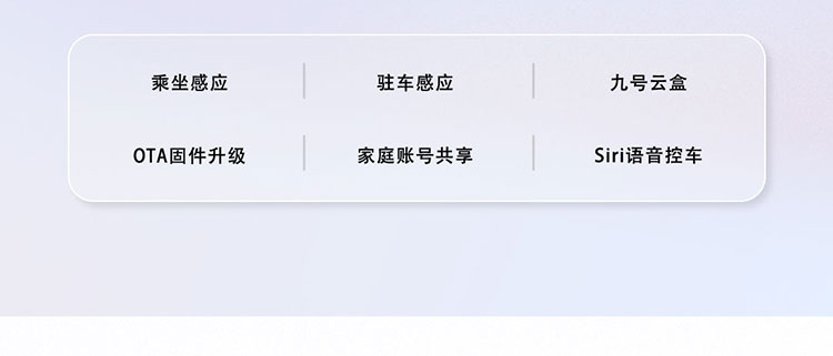 Ninebot九号电动锦鲤A30C+电动自行车【门店自提】9号真智能电动车 颜色可到门店选