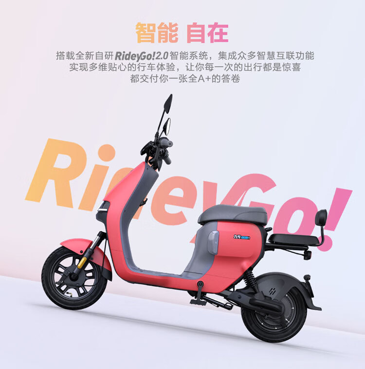 Ninebot九号电动锦鲤A30C+电动自行车【门店自提】9号真智能电动车 颜色可到门店选