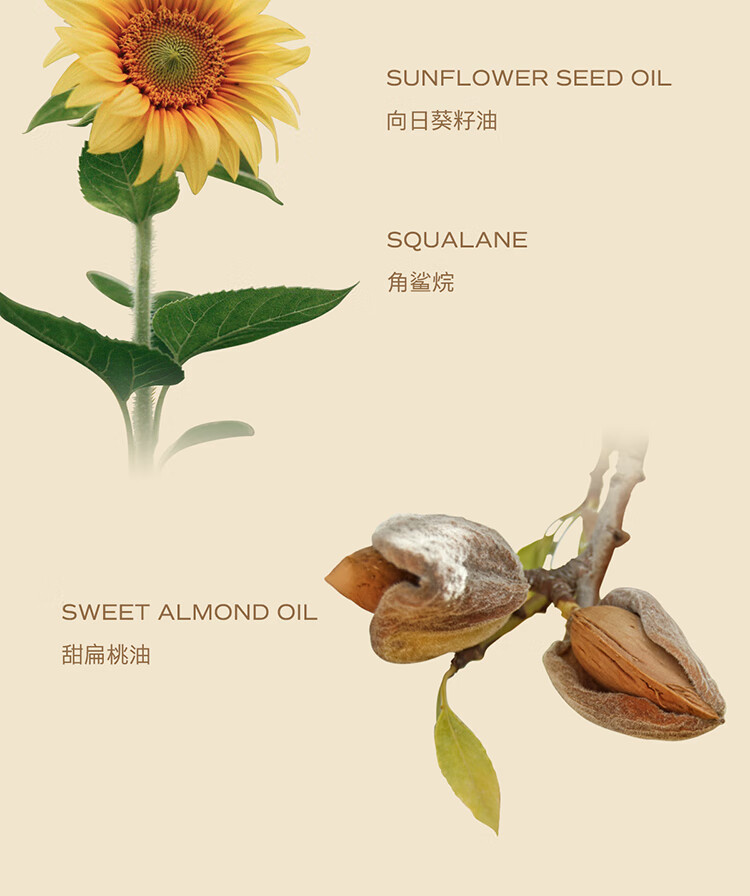 天露芬（TAUTROPFEN）精华油 抗氧化精华液 抗皱紧致精华淡化细纹精华露礼物女  赋活精华油70ml
