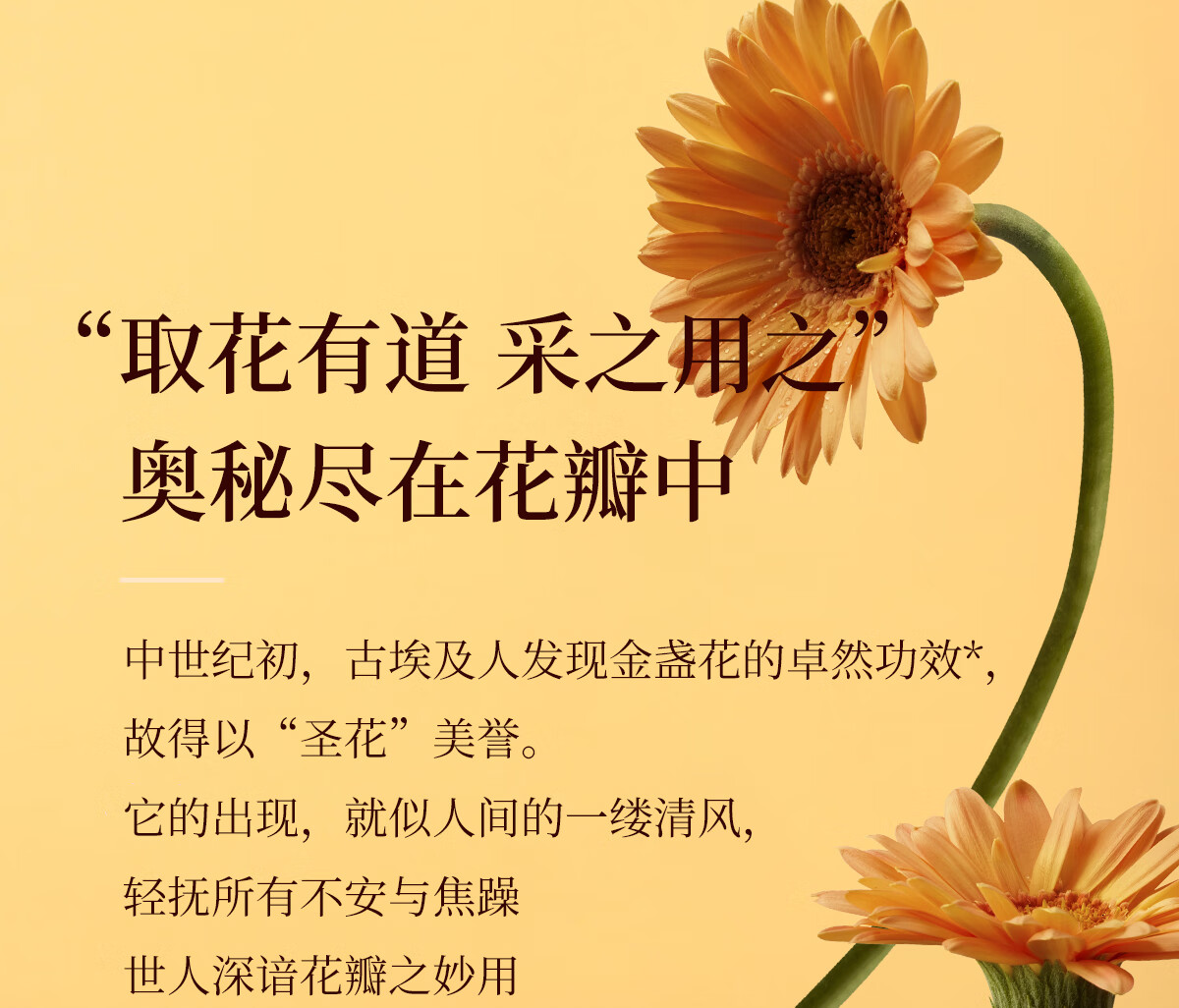 奇姬金盏花沁舒爽肤水 舒缓肌肤补水保湿清爽控油维稳肌肤屏障润肤水 150ml