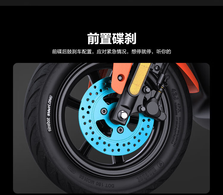 电动自行车_Ninebot 九号 电动自行车 远行者F90