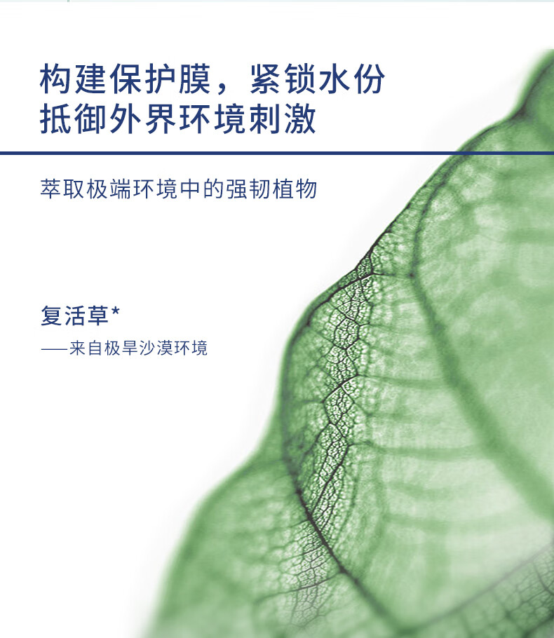 安碧妍氨基酸深层清洁毛孔控油泡沫洁面乳敏感肌温和保湿洁面乳洗面奶 洁面乳一支（共120g）