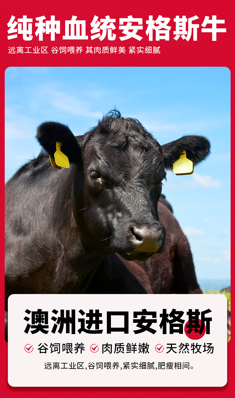 口水时代安格斯M5牛肉饼 原切 0添肉饼添加儿童汉堡早餐加 顺丰包邮 汉堡肉饼儿童早餐 0添加牛肉饼100g*10片详情图片6