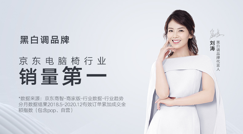 黑白调（Hbada）电脑椅人体工学椅家用工程学椅子靠背办公椅舒适久坐老板椅 HDNY167- 庇佑