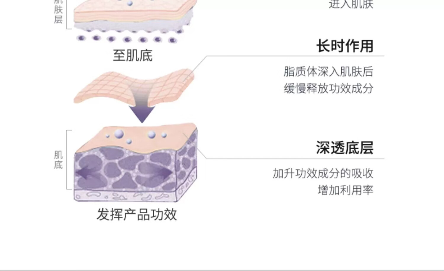 德妃（DERMAFIRM）紫苏水乳套装保湿补水控油皮清爽舒缓敏感肌护肤品女韩国进口 紫苏舒缓爽肤水200ml