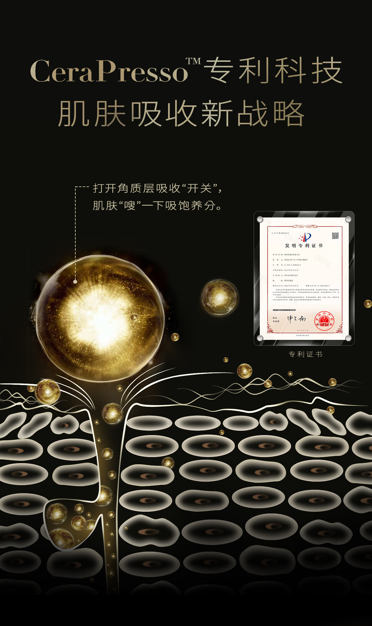 植卡美 黑钻松露眼霜｜高奢抗皱｜紧塑上扬｜焕亮眼周 【体验装】黑松露眼霜3g