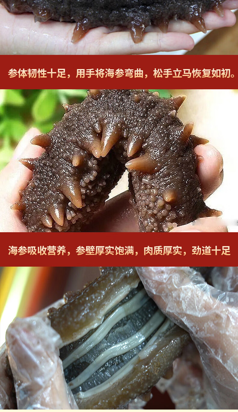 张奶奶大连鲜食即食海参礼盒装非干货鲜海参即食送礼30-40头特价活辽刺参速食冷冻水产特价送礼 即食海参30-40头/1000g小头实惠 好海参 真鲜美详情图片9