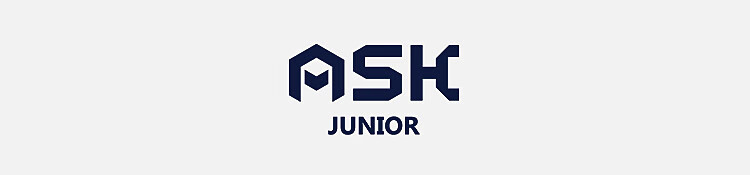 Детская футболка с длинным рукавом ASK JUNIOR, унисекс, хлопок 100%, весна-осень 2026, с принтом