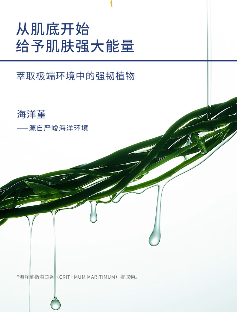 安碧妍氨基酸深层清洁毛孔控油泡沫洁面乳敏感肌温和保湿洁面乳洗面奶 洁面乳一支（共120g）