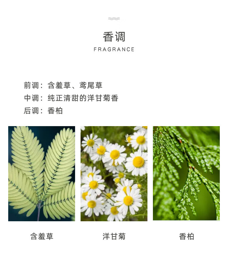 柏世曼（poacherman）洋甘菊香水CHAMOMILE洋甘菊味花香持久留香淡香男女清新花香水 74洋甘菊30ml