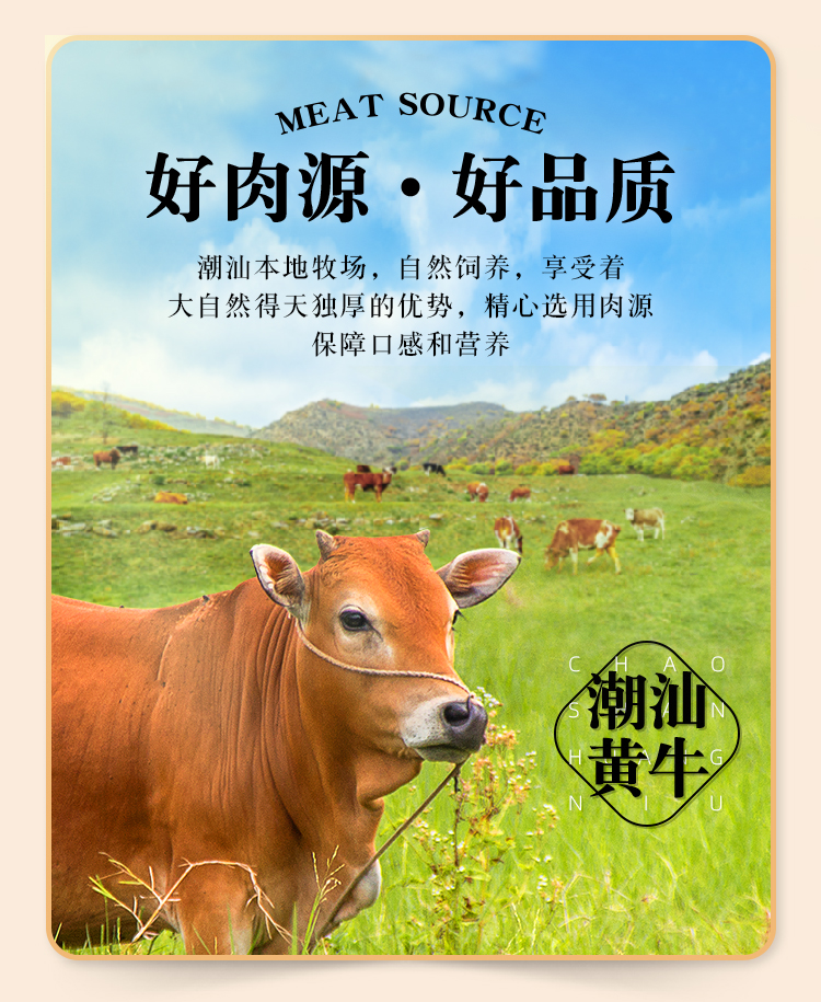 趣十八番正宗潮汕牛肉丸1000g手打肉丸牛筋丸子食材烧烤牛筋丸生鲜牛丸 火锅丸子烧烤食材肉丸子 1斤牛肉丸+1斤牛筋丸详情图片11