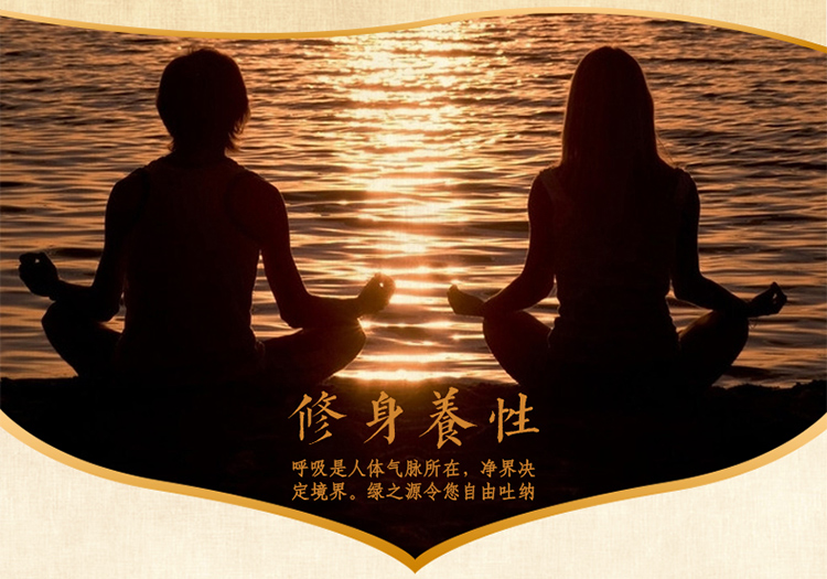 
                                        
                                        绿之源 悦享高端活性炭 除甲醛活性炭包去甲醛活性碳 新房装修除味吸甲醛竹炭包                