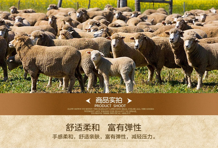 丽姿羊皮垫  坐垫 50*50cm  白色