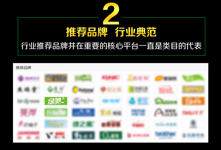绿驰(Greensky)儿童母婴房净味剂 活性炭竹炭升级产品 去除甲醛苯纳米矿晶包 新房装修除味吸甲醛500g