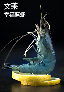 品珍鲜活 文莱蓝虾 盒装 生鲜 虾类 大虾刺身 51-60文莱蓝虾净重800g