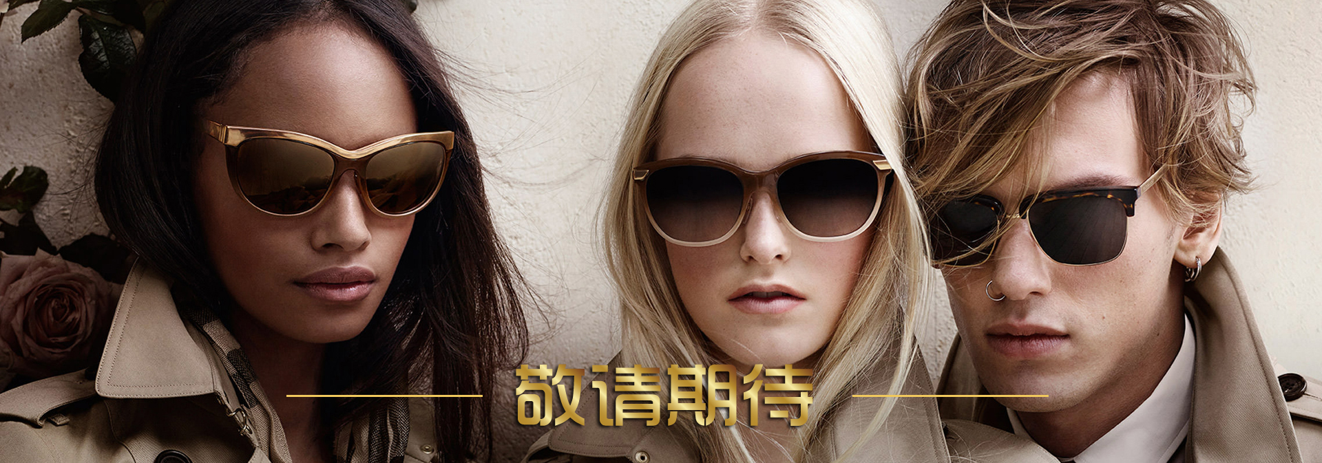 Ray Ban Rb3016 Ray Ban Rb3016