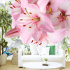 Пользовательские обои Mural Современные 3D Нетканые Мягкий чехол Lily Flower Butterfly LivingRoom Спальня Диван Телевизор Фон Фото обои чехол на телевизор