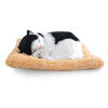 Plush toys simulation dog & cat Vehicle Decoration Baby Sleeping Appease Doll Kids Birthday Gifts kawaii kids toys stuffed animals dragon plush toy flying dragon dinosaur soft peluche doll boys child birthday gifts collection