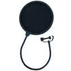 Victory TAKSTAR PS-1 Professional Anti-Shot Blanket Double Microphone Microphone Sprayproof Screen Capacitor Wheat Windshield Windshield Anti-noise Net Black