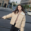 Winter 2018 new south Korean style rabbit fur lapel down jacket students coat thickened short style cotton-padded jacket