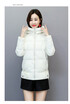 Winter 2018 new Korean fashion student cotton-padded jacket women short style padded padded jacket women