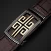 ZD293