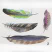 LMA Loma Personality 3D Sticker Color Feather Car Sticker