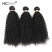 HCDIVA Good Quality Cheap Price Brazilian Kinky Curly 3 Pieces 100 Remy Human Hair Hair Weave Bundles Full Health End
