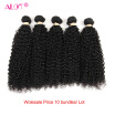 Alot Malaysian virgin hair kinkly curly unprocessed virgin hair human hair kinky curly wholesales 10 pcs