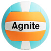 Agnite F1250 TPU soft volleyball machine stitching indoor&outdoor general teaching game training volleyball