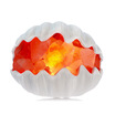 Clean billion shells blue&white clean air salt lamp white birthday gift to send male&female friends creative night light practical gift TCHHZ004