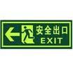 Teng Chi CT fire fluorescent safety export luminous light stickers evacuation signs direction signs luminous waterproof&wear-resistant warning stickers A01 straight safety exit