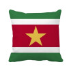 Suriname National Flag South America Country Square Throw Pillow Insert Cushion Cover Home Sofa Decor Gift