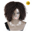 Protea Afro Rizado Curly Pre Plucked Encaje Frente Cabello Humano Pelucas Con El Pelo Del Bebé Para Mujeres Negro 130 Denistity