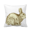 Easter Religion Festival Bunny Culture Square Throw Pillow Insert Cushion Cover Home Sofa Decor Gift