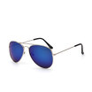 Unisex Aviator Sunglasses