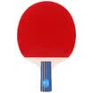 Pisces table tennis racket 3 star double-sided sponge back to fast-break type straight shot 3A-E short handle