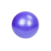 GymHousehold Explosion-proof Thicken Yoga Ball Smooth Surface Purple 55cm