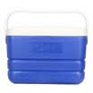 Youku products win 12L incubator freezer 6 side PU foam more cold can sit people portable household insulation box medicine fresh box medicine box car outdoor barbecue fishing box blue