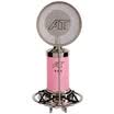 ISK S500 small bottle condenser microphone microphone professional recording shouting wheat network K song YY microphone