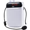 Sony Ericsson S-318 portable digital loudspeaker high power small bee loudspeaker teaching dedicated teacher guide card player player singing machine apple red