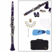 Professional Clarinet 17Key B Flat Professional Bakelite Nickel-plated Exquisite