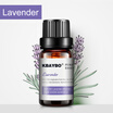 Essential Oil for Diffuser Aromatherapy Oil Humidifier 6 Kinds Fragrance of Lavender Tea Tree Rosemary Lemongrass Orange