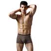 Men&39s underwear dots printed elastic stretch cotton men underwear 2 color 77956XXXL