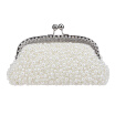 Fawziya Pearl Clutch Purses For Women Evening Clutches For Wedding And Party