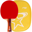 Double Happiness DHS table tennis racket beat double-sided anti-plastic ring with fast-break 2 star single shot R2002 with film sets
