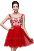 A-Line Sleeveless Bateau Short Tulle Appliques Prom Dresses