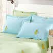 Sheng Wei bed products cotton pillow sets of cotton pillow sets of single loaded 48 74cm small beetles blue