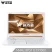 Predator Predator HELIOS 300 156-inch 144Hz Platinum Limited Edition Gaming Notebook i7-8750H 8G 256G PCIe GTX1060 6G IPS